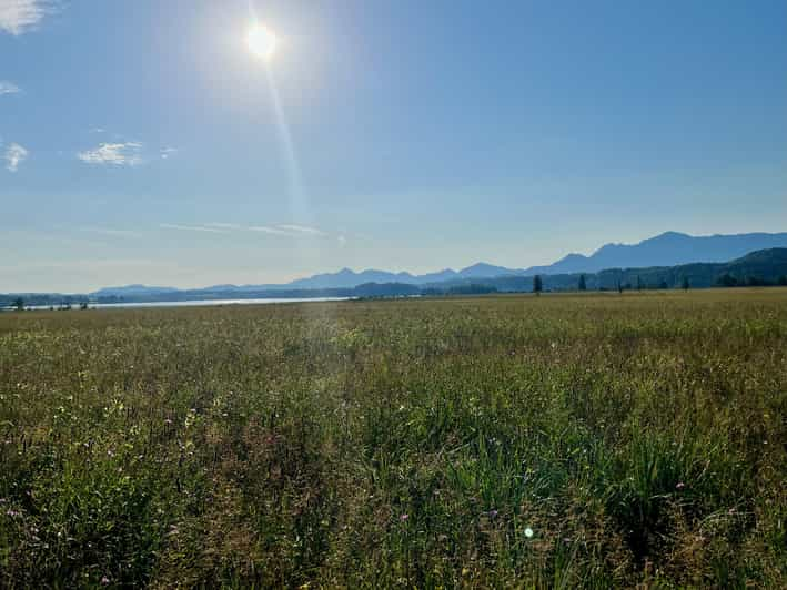 Guided Tours in and Around Murnau on the Staffel Lake - Tour Overview and Pricing