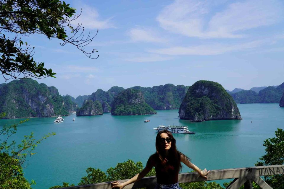 Ha Long Bay Luxury Day Cruise,Buffet Lunch, Titop,Cave,Kayak - Overview and Pricing