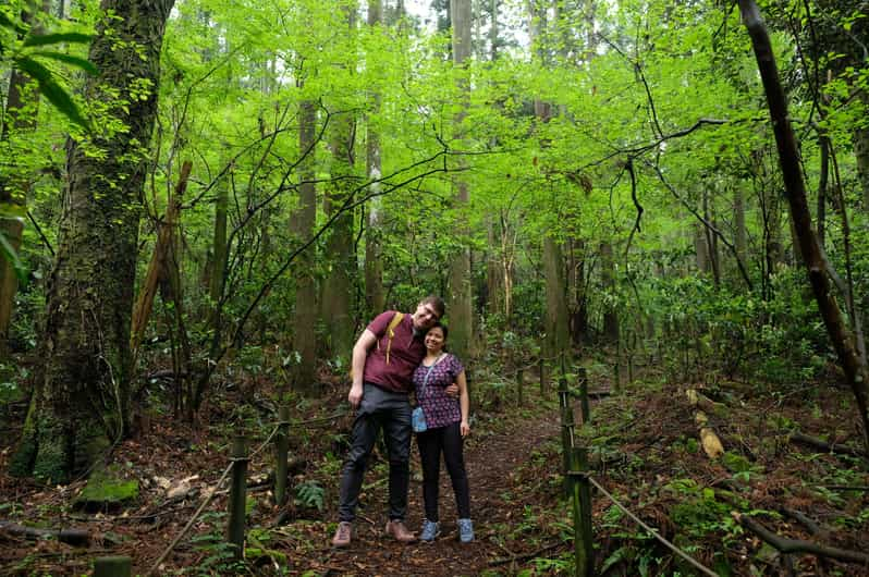 Hakone: Forest Bathing Hike With Lake Ashi and Mt. Fuji View - Forest Bathing Experience