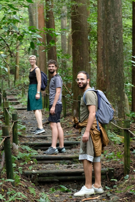 Hakone Hachiri: Old Tokaido Highway Hiking Tour - Tour Experience and Features