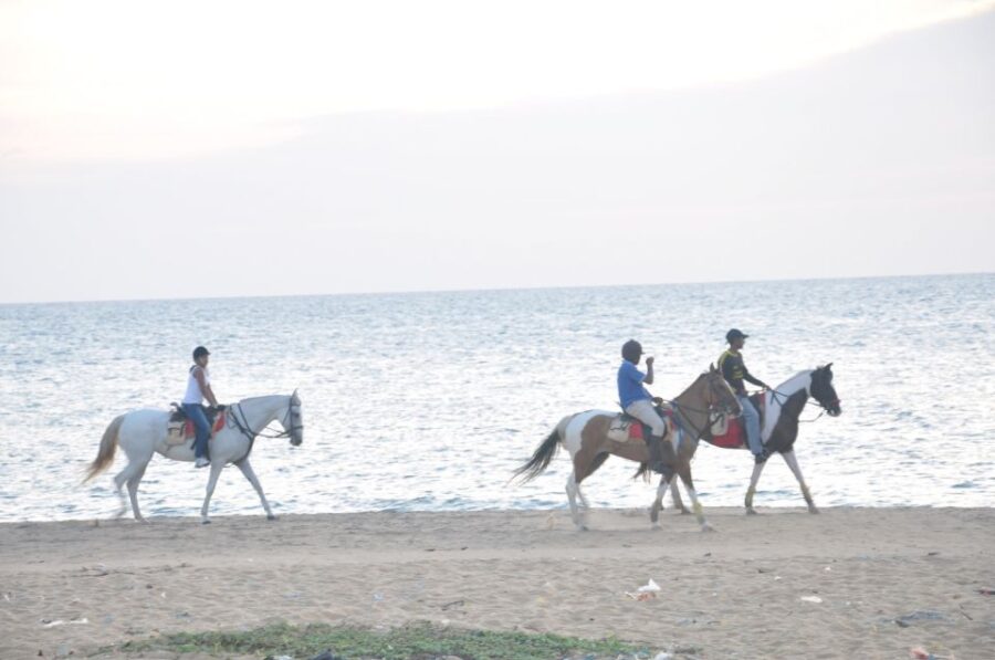 Half-Day Horse Riding in Kalpitiya