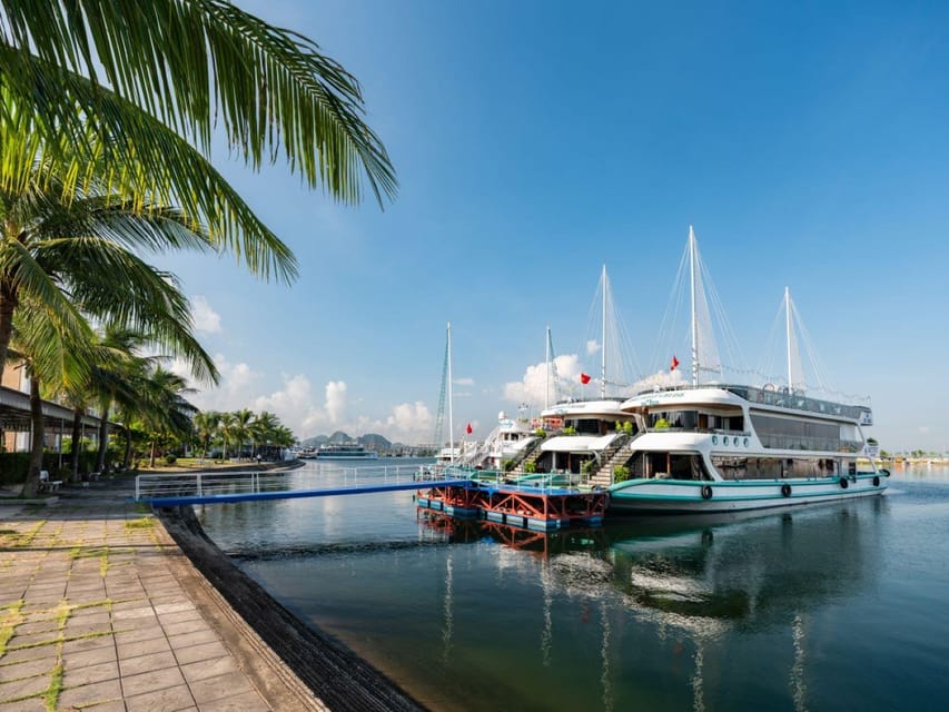 Halong Bay Cruise Trip : Caves, Buffet Lunch, Kayak, Titop - Trip Overview