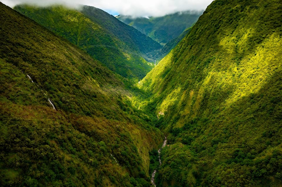 Hamakua Coast Waterfalls and Valleys Safari - Tour Overview