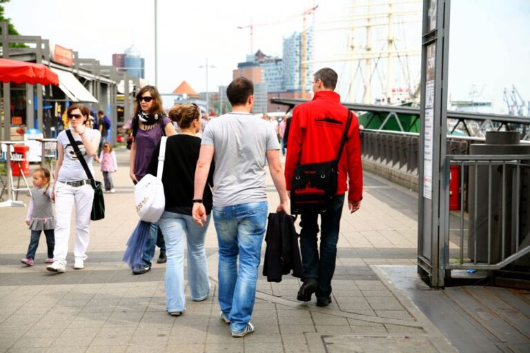 Hamburg: Private Tour Port, St. Michaelis Church & City Hall