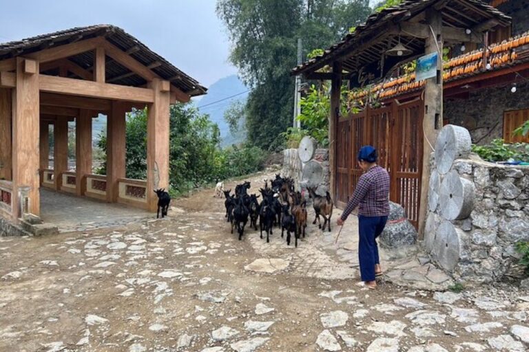 Hanoi: Ban Gioc Waterfall to Hidden Village Trekking Tour