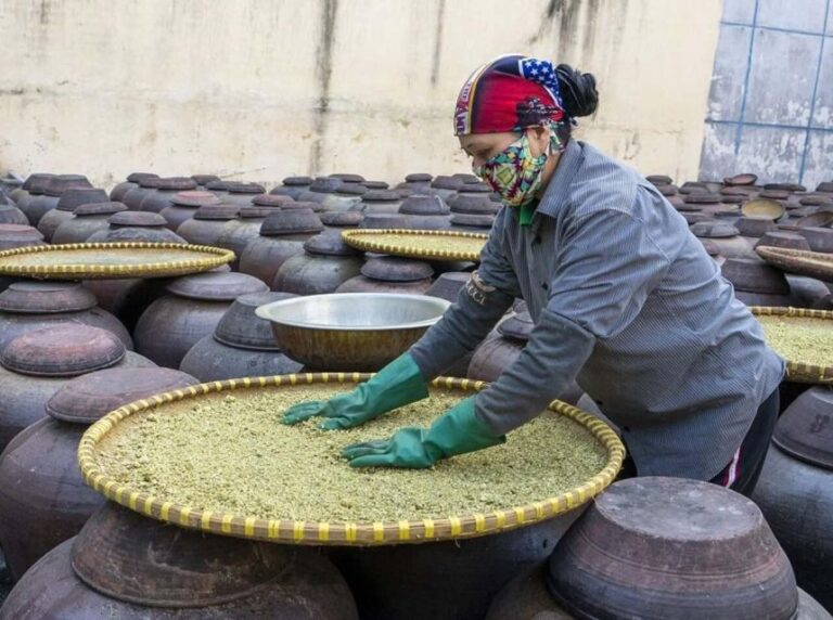 Hanoi: Day Trip to Bamboo Fish Trap & Soy Sauce Villages