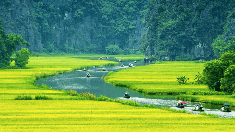 Hanoi: Ninh Binh Full-Day With Hoa Lu, Tam Coc, Mua Cave - Highlights and Activities