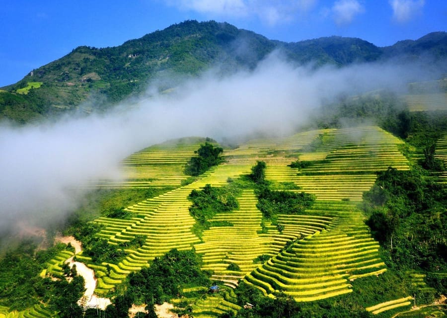 Hanoi: Sapa 3 Days 2 Nights - Trekking Village - Transfer - Tour Overview and Pricing