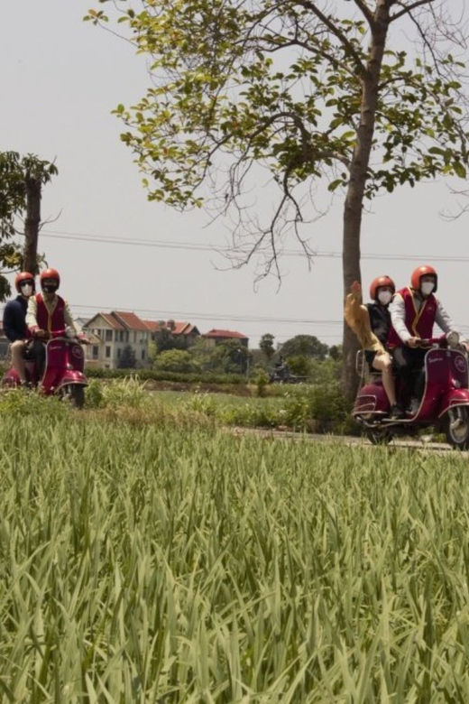 Hanoi Vintage Vespa Tours: A Half-Day Countryside Adventure - Red River Crossing