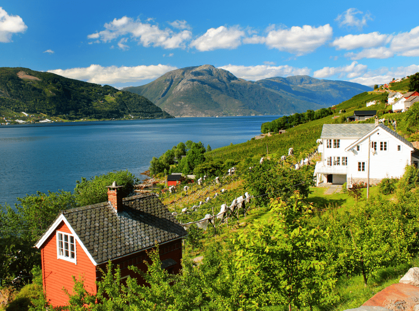 Hardangerfjord Lunch at Cider Farm, Coffee at Historic Hotel - Cider Farm Experience