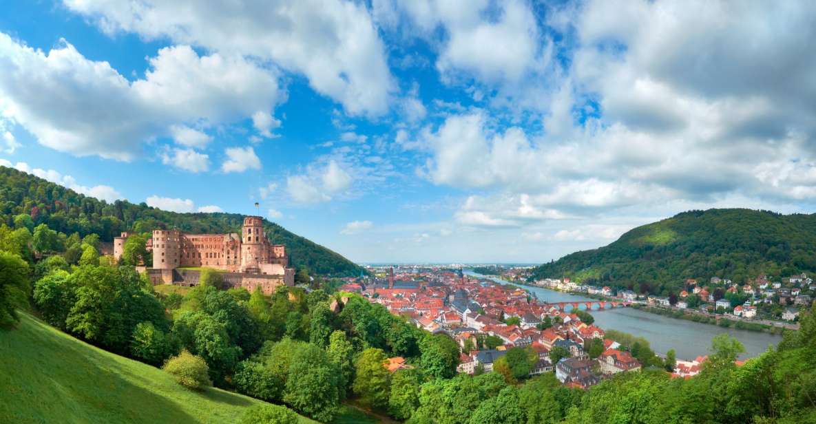 Heidelberg: Express Walk With a Local in 60 Minutes - Activity Overview