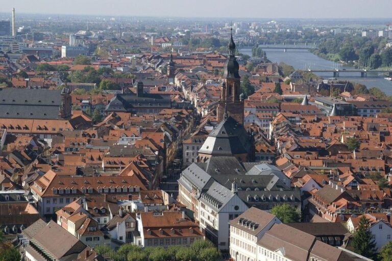 Heidelberg: Private Christmas Market Tour