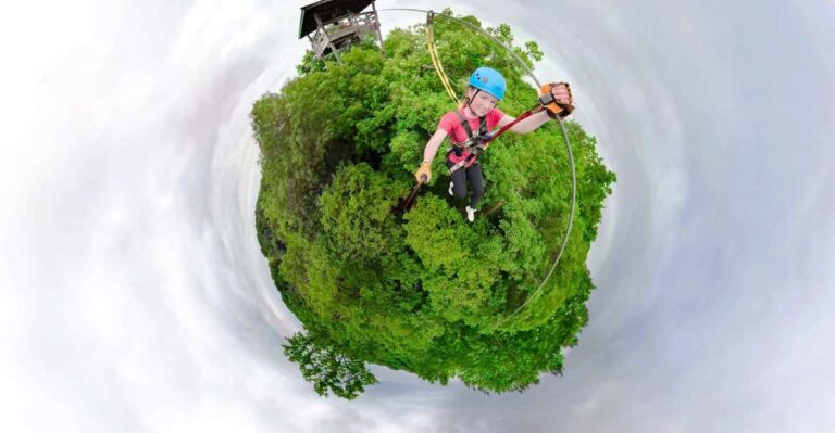 Henderson, Minnesota: 14-Line Zipline Canopy Tour