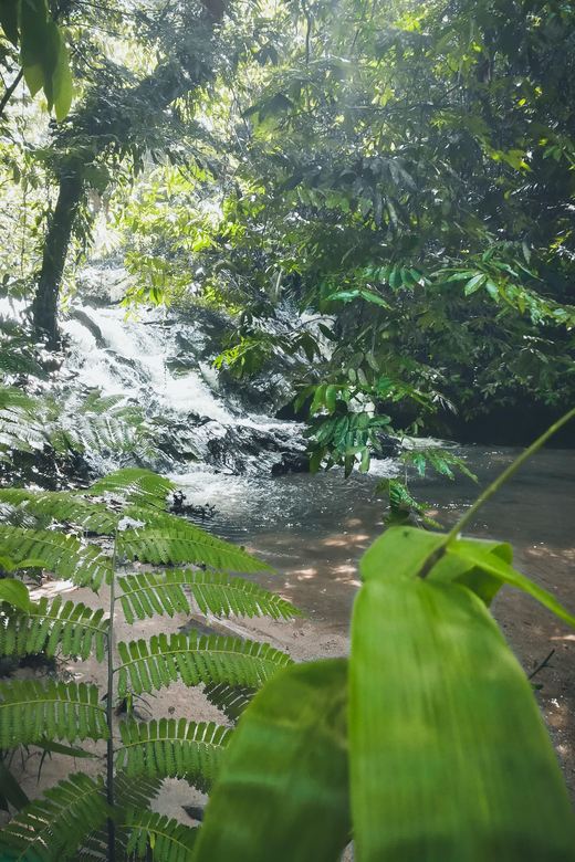 Hidden Waterfall Hiking Adventure - Overview of the Adventure