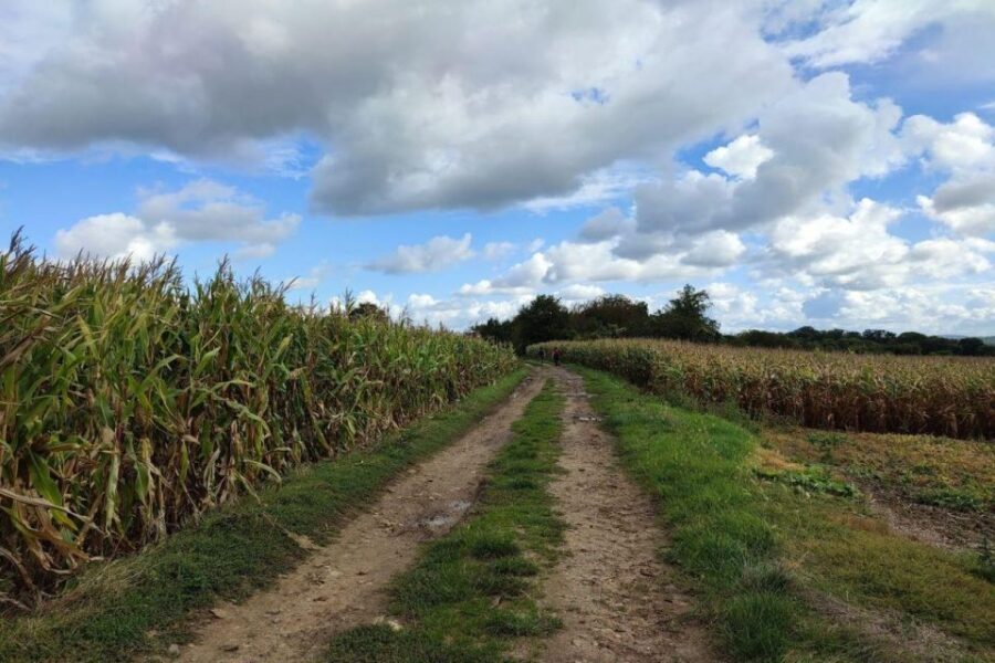 Hiking Adventure in Van Goghs Footsteps - Overview of the Adventure