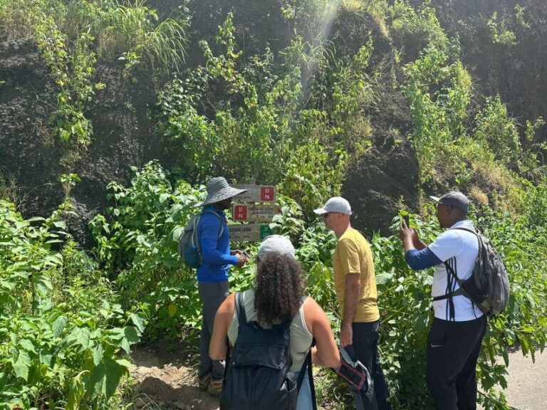 Hiking: From Serra Malagueta to Lagoa