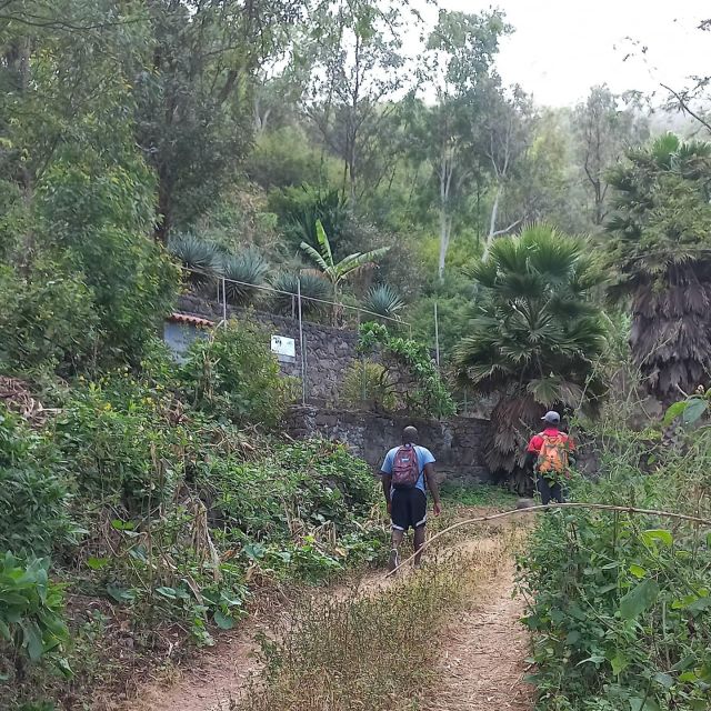 Hiking: Waterfall Aguas Caidas &Boat Trip to the Cave.