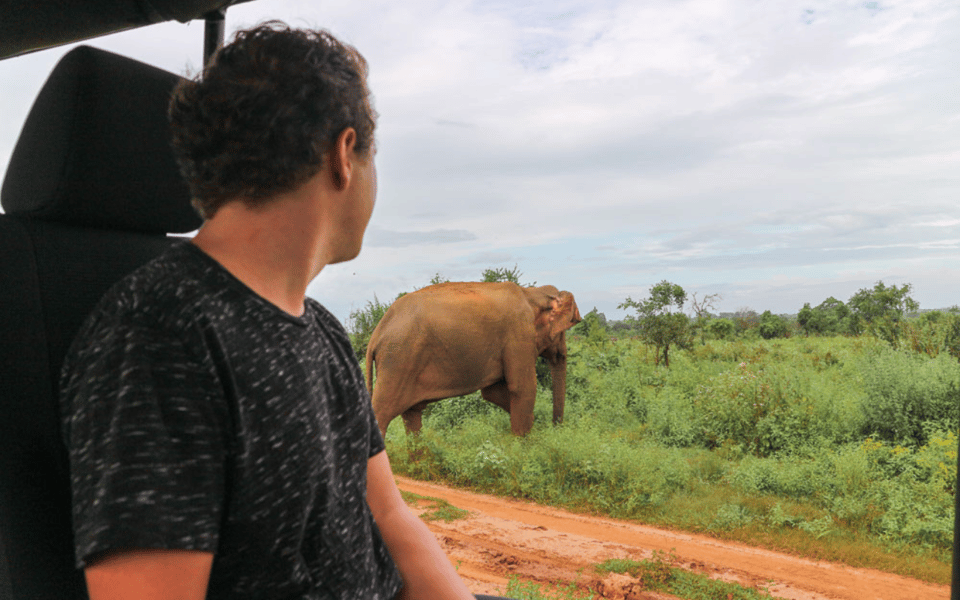 Hikkaduwa: Udawalawe & YALA Safaris + Lunch, Drop Off: Ella - Wildlife Safaris