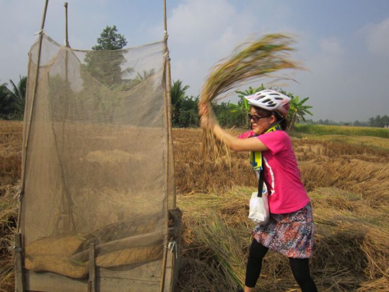 Ho Chi Minh: Countryside Half–Day Bike Tour