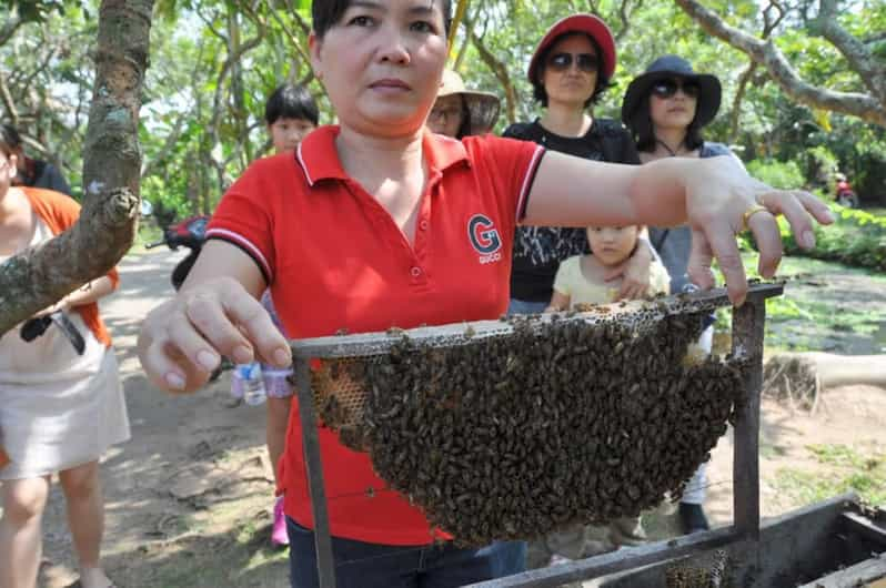 Ho Chi Minh Private Tour: Cu Chi Tunnels and Mekong Delta - Tour Overview