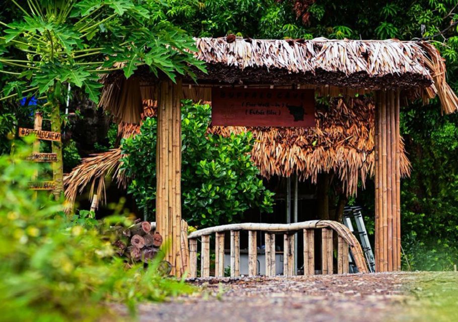 Hoa Lu - Tam Coc - Buffalo Cave 2 Days 1 Night Eco Tour - Tour Overview