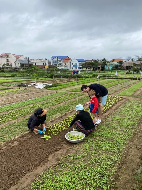 Hoi An: Countrysides Discovery Private Tour - Tour Overview and Details