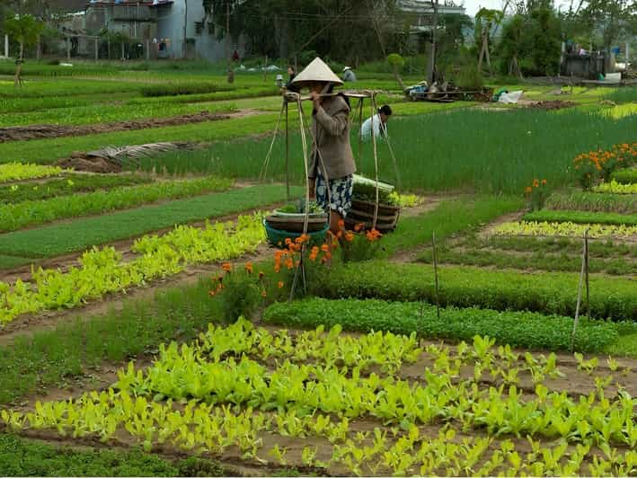 HOIAN: LANTERN MAKING–FARMER AT TRA QUE SMALL GROUP - Tour Overview