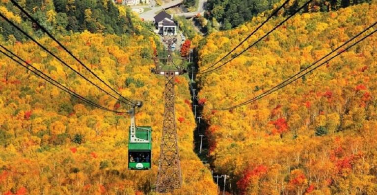 Hokkaido: Kurodake Ropeway, Asahiyama Zoo Autumn Leaves Tour