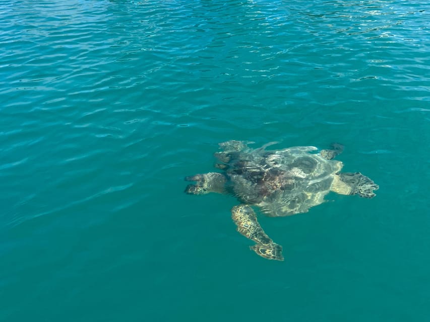 Honolulu: Intro to Stand-Up Paddling Class - Experience Highlights