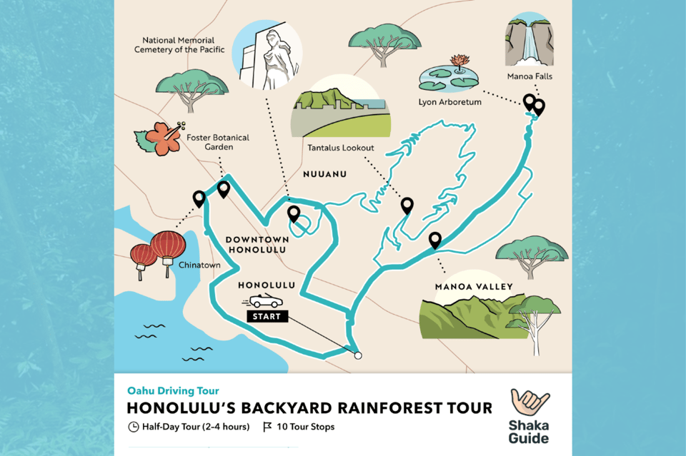 Honolulus Backyard Rainforest Tour: Audio Tour Guide - What to Bring