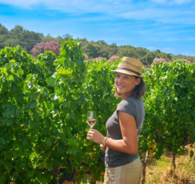 Horse Back Riding + Wine Tasting in the Maures Forest