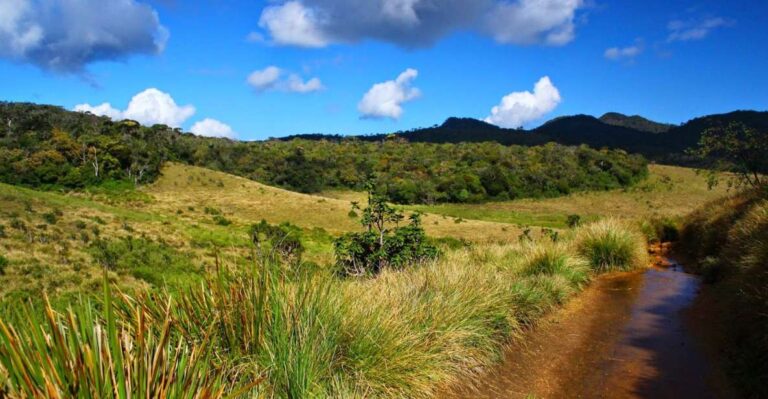 Horton Plains National Park Tour & Scenic Train Ride