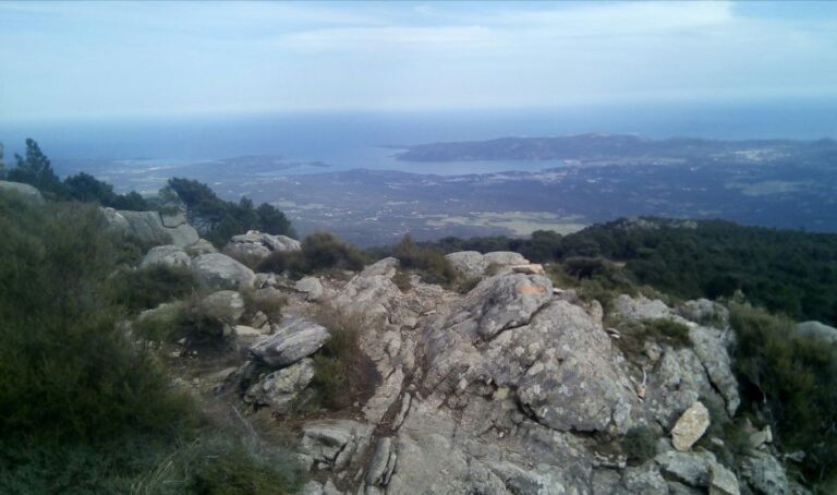 HOSPITAL Forest: Panoramic Summit With Sea and Lakes View