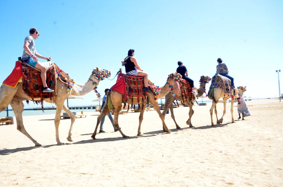 Hurghada: Sea & Desert Camel Ride W/Dinner, Show, Stargazing - Overview of the Experience