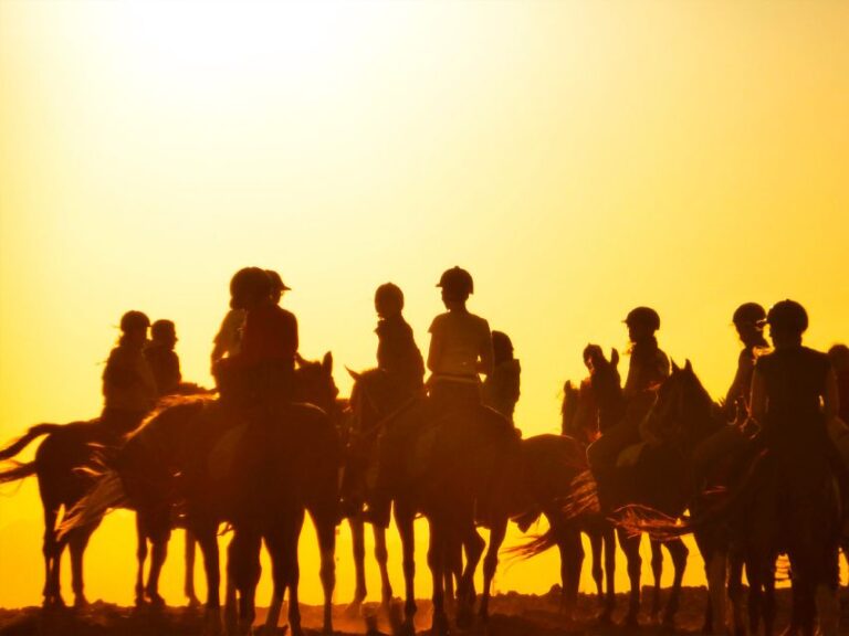 Hurghada: Sunset Sea, Desert Horse W Opt, Dinner, Stargazing