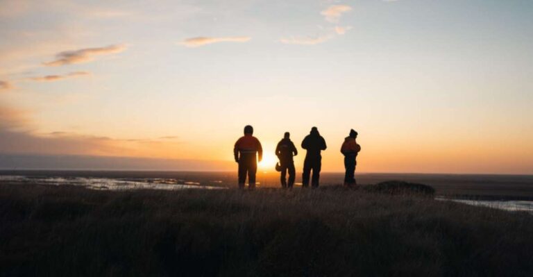 Hvolsvöllur: Iceland Guided Buggy Adventure Tour