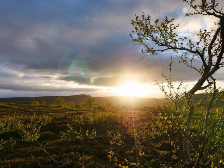 Inari: Hiking Tour to Inari Wilderness