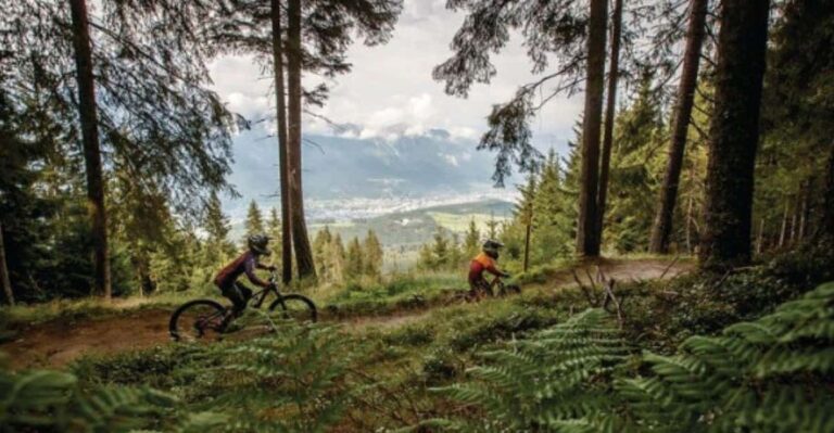 Innsbruck: Downhill Guiding – Bike Park Innsbruck