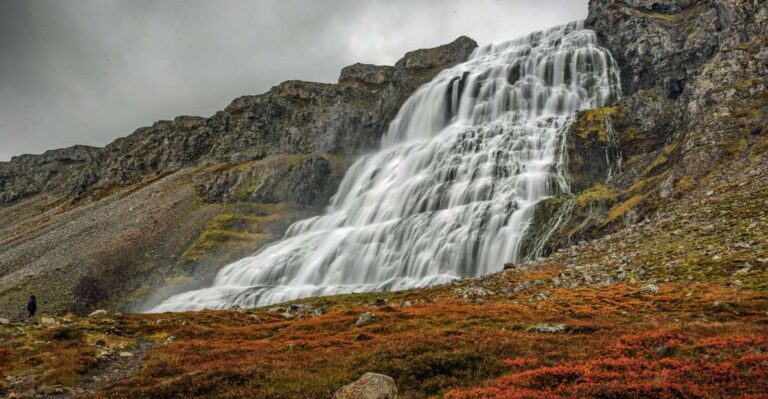 Isafjordur: Dynjandi Waterfall Tour and Icelandic Farm Visit