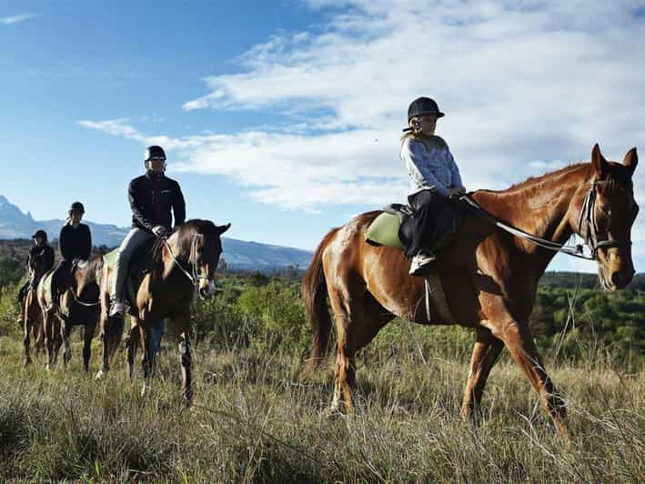 Istanbul: 1 Hours Horse Riding With Trained Horses - Activity Overview