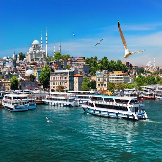 Istanbul Bosphorus Morning Cruise Guided Tour - Tour Overview