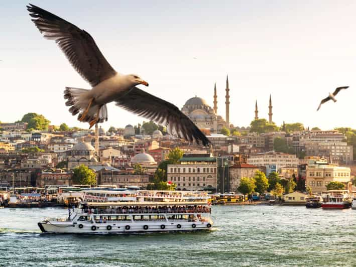 Istanbul: Bosphorus Morning/Sunset Cruise With Optional Stop - Included Amenities