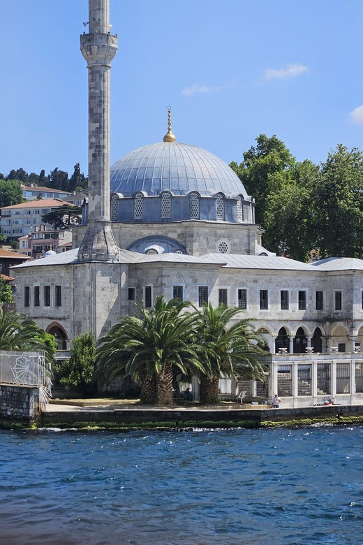 Istanbul: Cruise and Dine 2.5-Hour Bosphorus Lunch Tour - Tour Overview