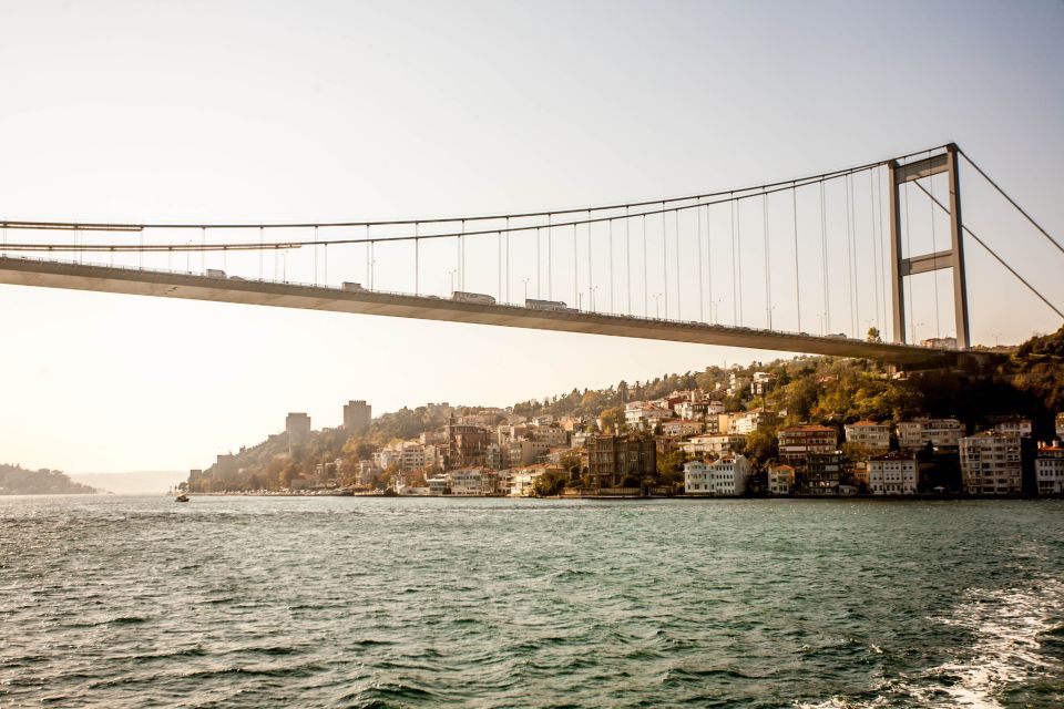 Istanbul: Morning Bosphorus Cruise - Overview of the Cruise