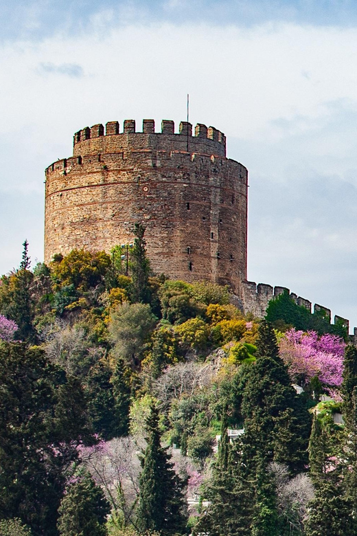 Istanbul: Morning or Sunset Cruise With Guide and Snacks - Overview of the Cruise