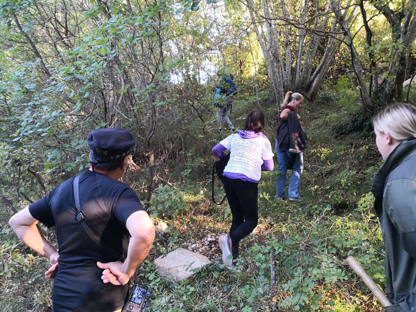 Istria - Truffles: Hunting & Cooking & Tasting, Slovenia - Overview of Truffle Hunting