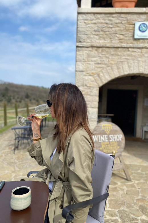 Istria Wine Tour From Crikvenica, Island Krk and Rijeka