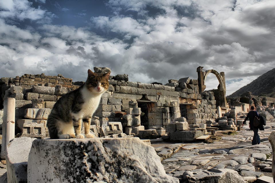 Izmir : Ephesus and Sirince Guided Tour - Tour Overview