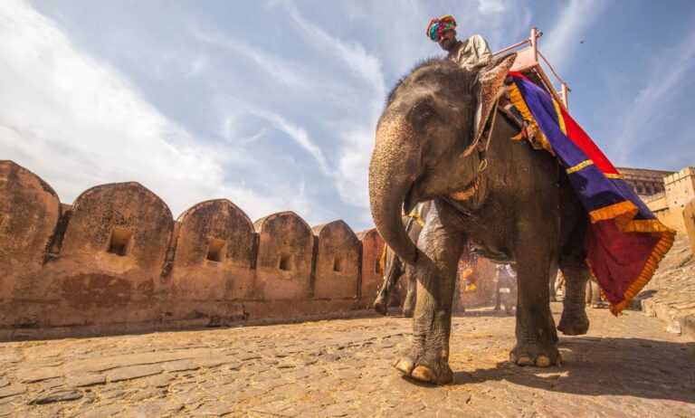 Jaipur: Private Full Day Jaipur Guided Tour With Transfers