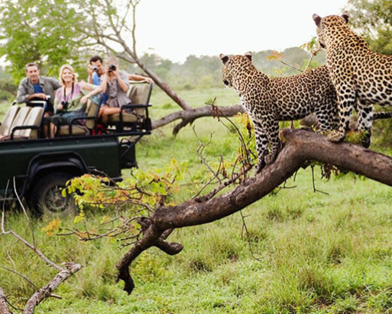 Jaipur: Private Jhalana Leopard Safari Tour - Safari Experience Details